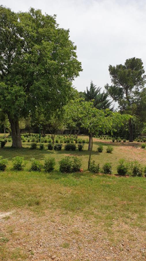 Apartmani Paron Sime Seline Exterior photo